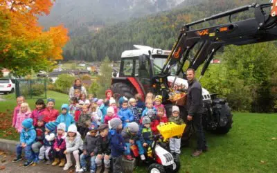 Kindergarten und Bauernhof﻿